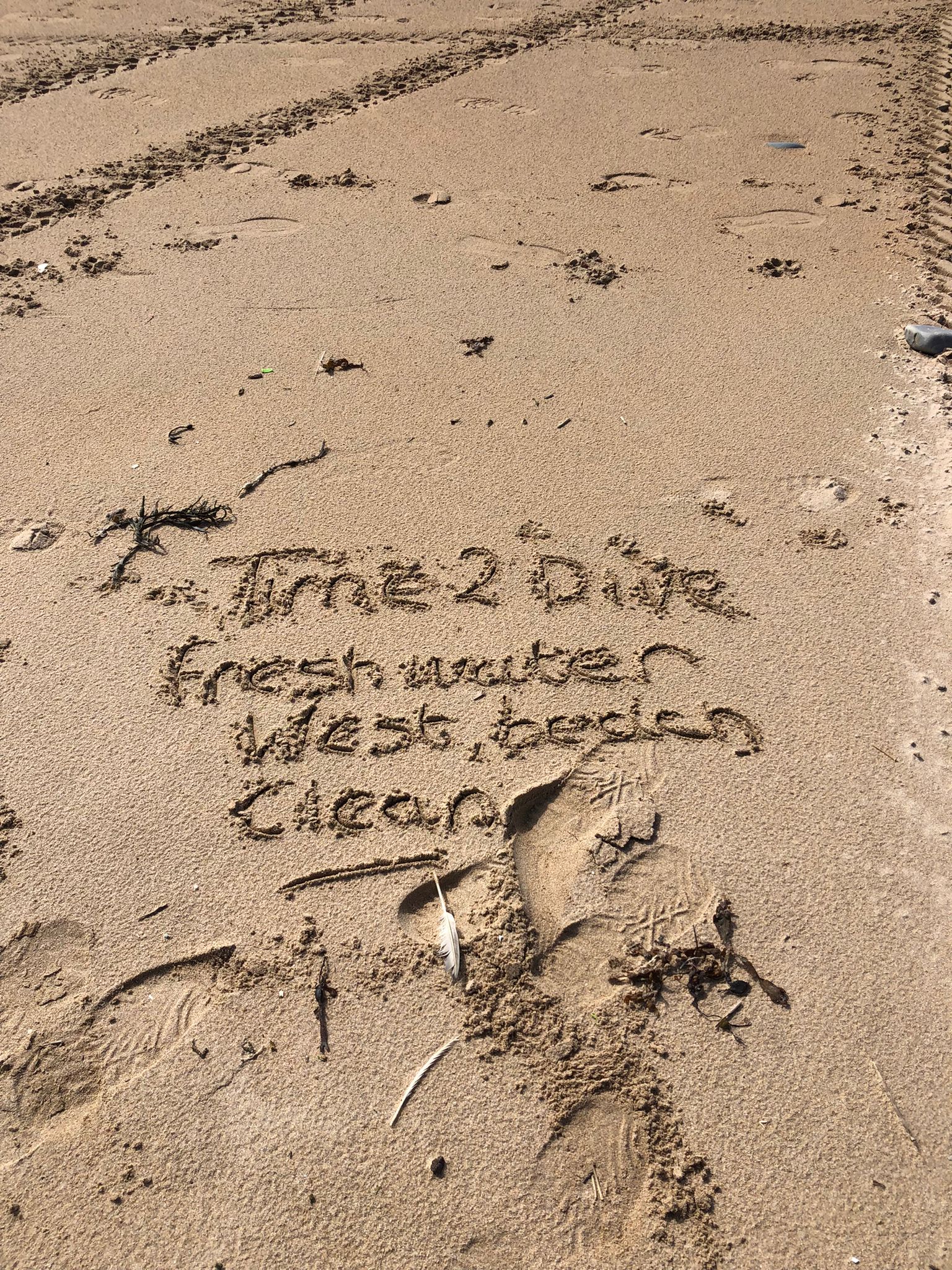 Beach Clean September 25