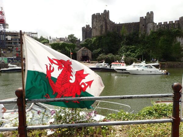 Pembroke River Rally  19th July 25