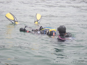 Dive Leader Rescue Management Training